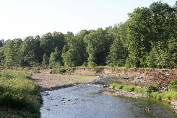 Kladeruby, 19.7.2017
Meandry Bečvy. 
Schlüsselwörter: Kladeruby řeka Bečva