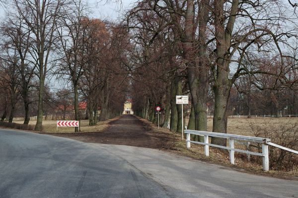 Kladruby nad Labem, 16.3.2005
Lipová alej u hřebčína.
Klíčová slova: Kladruby nad Labem hřebčín Lamprodila rutilans Calambus bipustulatus