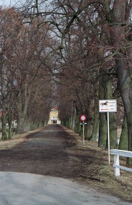 Kladruby nad Labem, 16.3.2005
Lipová alej u hřebčína.
Klíčová slova: Kladruby nad Labem hřebčín Lamprodila rutilans Calambus bipustulatus