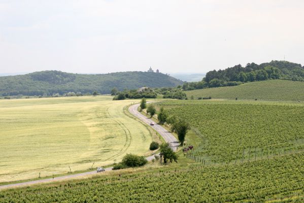 Klentnice, 10.6.2011 
Pohled od Stolové hory na jih na Turold a na Svatý kopeček.



Mots-clés: Klentnice Stolová hora Tabulová hora Turold