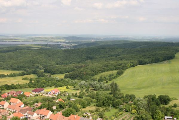 Klentnice, 10.6.2011
Pohled ze Stolové hory na oboru Klentnice a na Bulhary.
Klíčová slova: Klentnice Pavlovské vrchy Stolová hora Bulhary