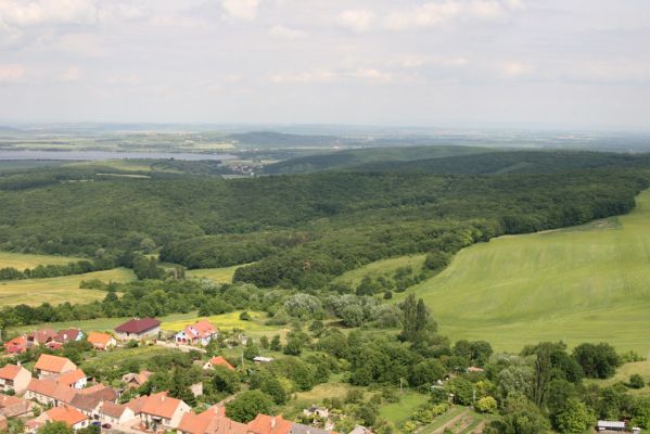 Klentnice, 10.6.2011
Pohled ze Stolové hory na oboru Klentnice a na Bulhary.
Klíčová slova: Klentnice Pavlovské vrchy Stolová hora Bulhary