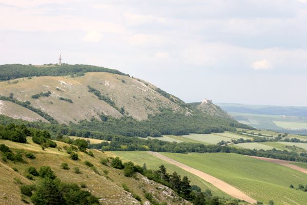 Klentnice, 10.6.2011
Pohled ze Stolové hory na Pálavu.




Klíčová slova: Pavlovské vrchy Pálava Klentnice Stolová hora