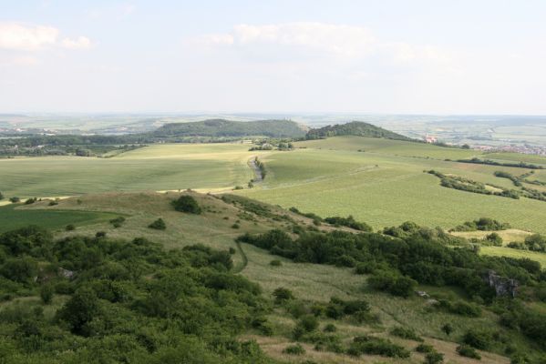 Klentnice, 10.6.2011
Pohled ze Stolové hory na jih na Turold a na Svatý kopeček.



Klíčová slova: Klentnice Stolová hora Tabulová hora Turold Svatý kopeček Melanotus brunnipes