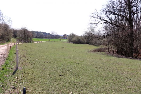 Provodov-Šonov, Kleny, 5.4.2019
Dubenský Dvůr - pastvina.
Klíčová slova: Provodov-Šonov Kleny Dubenský Dvůr pastvina