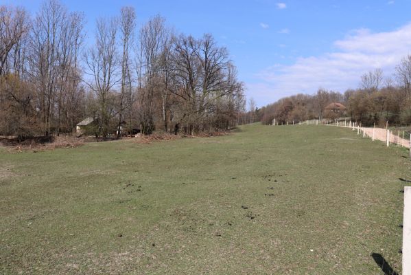 Provodov-Šonov, Kleny, 5.4.2019
Dubenský Dvůr - pastvina.
Mots-clés: Provodov-Šonov Kleny Dubenský Dvůr pastvina