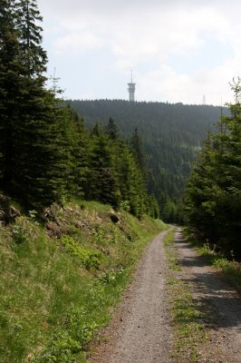 Krušné hory, Klínovec, 30.5.2012
Cesta na západním svahu Klínovce.
Mots-clés: Krušné hory Klínovec Pheletes aeneoniger