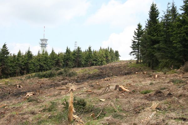 Krušné hory, Klínovec, 30.5.2012
Holoseč u lanovky.
Mots-clés: Krušné hory Klínovec