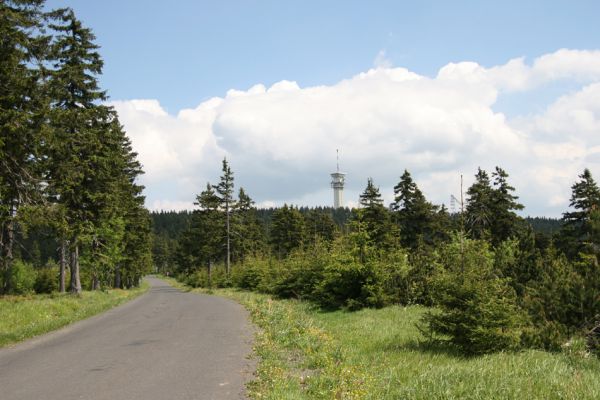 Krušné hory, Klínovec, 30.5.2012
Cesta od Božího Daru.
Klíčová slova: Krušné hory Klínovec Ctenicera pectinicornis