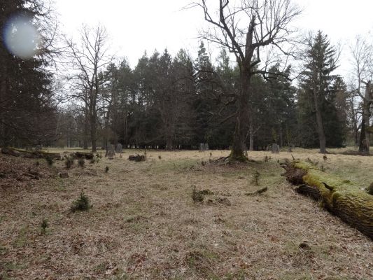 Bílá Hlína, 23.4.2017
Obora Klokočka.
Keywords: Bílá Hlína obora Klokočka