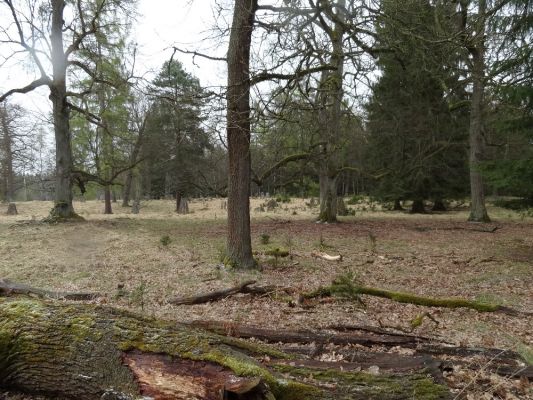 Bílá Hlína, 23.4.2017
Obora Klokočka.
Schlüsselwörter: Bílá Hlína obora Klokočka