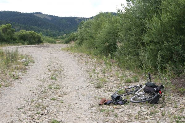 Klubina, 31.7.2013
Štěrkové náplavy řeky Bystrici.



Schlüsselwörter: Klubina Bystrica Zorochros meridionalis dermestoides Adrastus pallens kryshthali