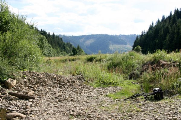 Klubina, 31.7.2013
Štěrkové náplavy Klubinského potoka. 


Schlüsselwörter: Klubina Klubinský potok Zorochros flavipes dermestoides