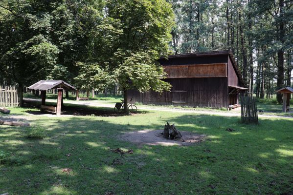 Kněžičky, 10.8.2020
Obora Kněžičky - východní část. Les u krmelců u Lovčické cesty. 
Klíčová slova: Kněžičky obora Kněžičky východní část krmelce