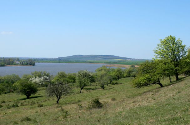 Žehuňská obora, 20.4.2007
Pohled přes pastviny na Žehuňský rybník a vrch Oškobrh.
Schlüsselwörter: Žehuňský rybník Žehuňská obora Kněžičky Oškobrh