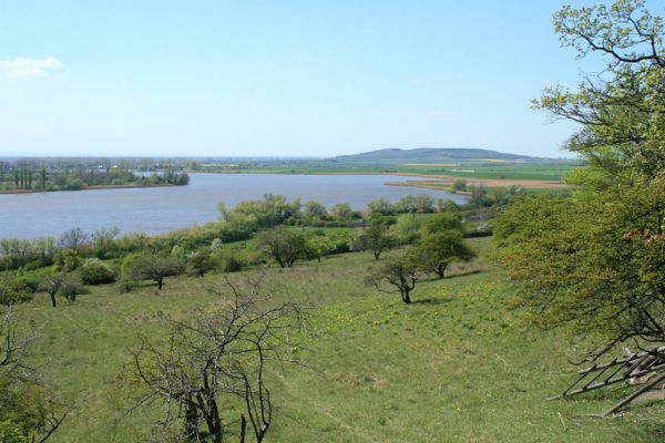 Žehuňská obora, 20.4.2007
Pohled přes pastviny s kvetoucími hlaváčky jarními na Žehuňský rybník a vrch Oškobrh.
Klíčová slova: Žehuňský rybník Žehuňská obora Kněžičky Oškobrh