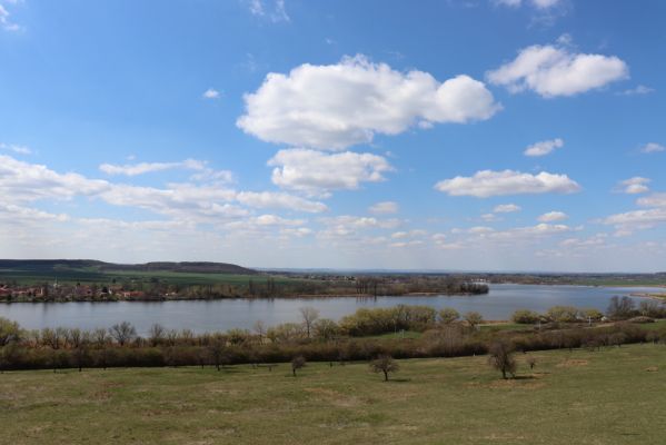 Kněžičky, 26.4.2021
Obora Kněžičky, pastvina nad Žehuňským rybníkem.
Klíčová slova: Kněžičky Obora Kněžičky pastvina Žehuňský rybník