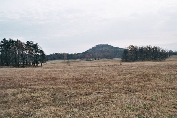 Kobylá nad Vidnávkou, 18.11.2006
Pohled od západu na Smolný vrch.
Klíčová slova: Kobylá nad Vidnávkou Smolný vrch