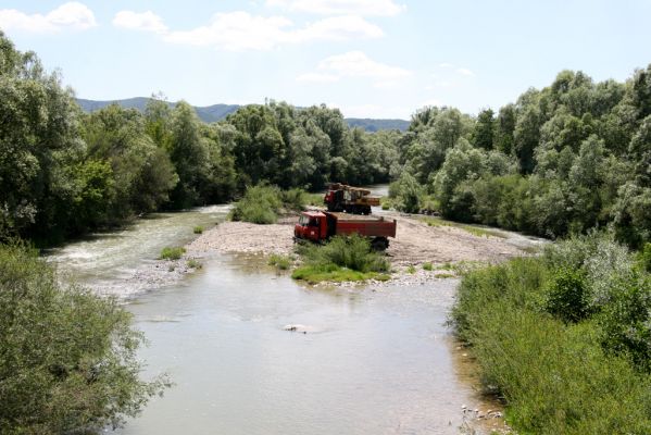 Kochanovce, 4.7.2014
Meandry Laborce - těžba štěrku spolehlivě likviduje druhovou pestrost Elateridů. Někdy se podaří přežít druhu Zorochros meridionalis, někdy Zorochros dermestoides...  
Mots-clés: Kochanovce řeka Laborec
