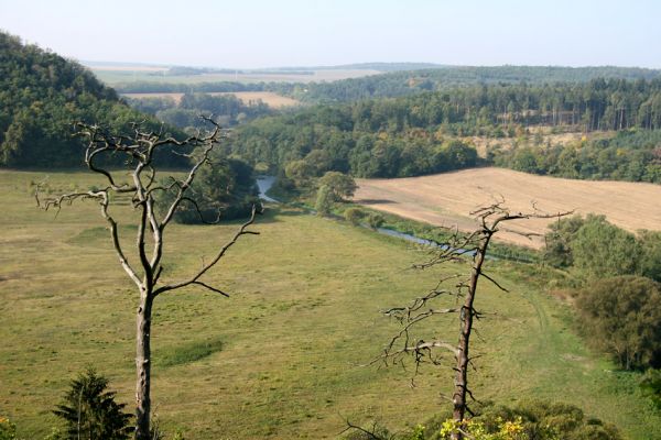 Oslavany, 29.9.2008
Pohled z vrchu Kocoury k západu na nivu Oslavy.
Klíčová slova: Oslavany Kocoury Oslava