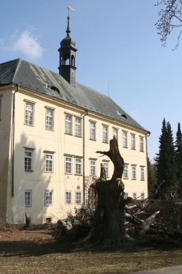 Kopidlno, 2.4.2018
Zámek - rozlomený buk.
Keywords: Kopidlno zámecký park