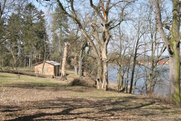 Kopidlno, 2.4.2018
Zámecký park.
Klíčová slova: Kopidlno zámecký park