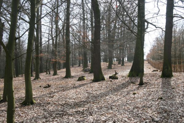 Kopidlno, 2.4.2018
Obora Kopidlno.
Klíčová slova: Kopidlno obora Kopidlno