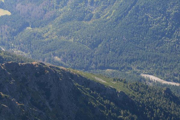 Vysoké Tatry, Kôprová dolina, 1.9.2009
Pohled z Kriváně na Kôprovou dolinu a štěrkové náplavy Kôprovského potoka. Biotop kovaříka Flautiauxellus maritimus.
Schlüsselwörter: Vysoké Tatry Kôprová dolina Kôprovský potok Fleutiauxellus maritimus