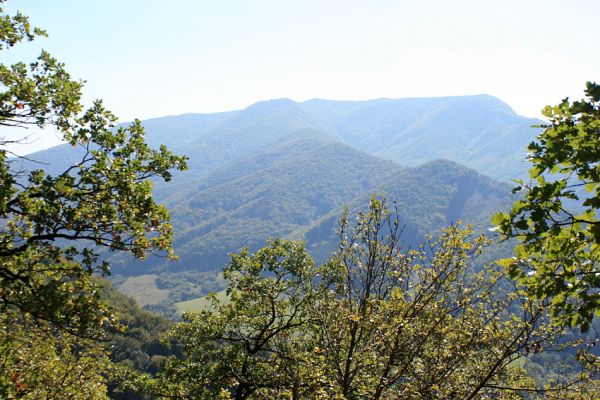 Košecké podhradie - Podjedličná, 23.9.2007
Pohled z horních partií pastevního lesa na jih na dominantní hřbet vrchu Hrubá Zliezajňa (951m)
Klíčová slova: Strážovské vrchy Košecké Podhradie Podjedličná pastevní les Hrubá Zliezajňa