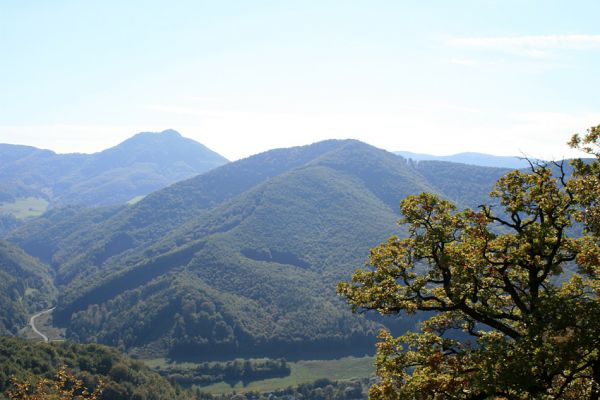 Košecké podhradie - Podjedličná, 23.9.2007
Pohled z horních partií pastevního lesa na jih na dominantní vrchol Vápeč (956m)
Keywords: Strážovské vrchy Košecké Podhradie Podjedličná pastevní les Vápeč