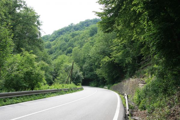 Košice, 24.6.2011
Čermeľská dolina.
Klíčová slova: Košice Čermeľská dolina