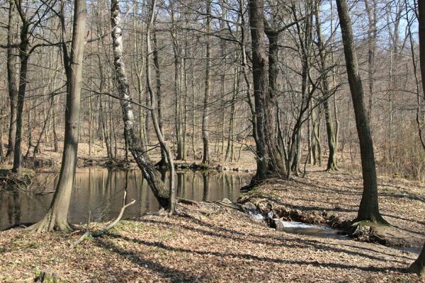 Košťany, zámeček, 7.4.2010
Lesní jezírko u zámečku.
Klíčová slova: Krušné hory Košťany zámeček