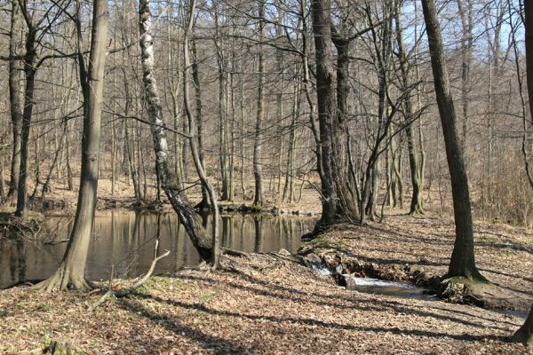 Košťany, zámeček, 7.4.2010
Lesní jezírko u zámečku.
Schlüsselwörter: Krušné hory Košťany zámeček