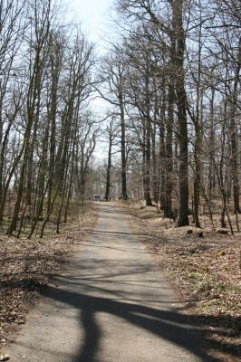 Košťany, zámeček, 7.4.2010
V lese u zámečku.
Klíčová slova: Krušné hory Košťany zámeček