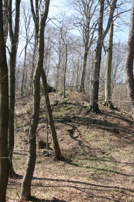 Košťany, zámeček, 7.4.2010
Bukový les u zámečku na svahu nad silnicí.
Klíčová slova: Krušné hory Košťany zámeček