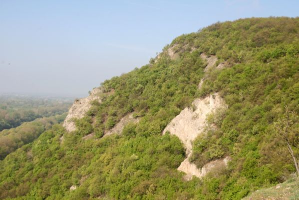 Kamenica nad Hronom, 7.4.2014
Kováčovské kopce. Skaly u Kováčova. 
Klíčová slova: Kamenica nad Hronom Kováčovské kopce Skaly
