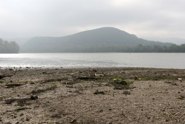 Kamenica nad Hronom, 7.4.2014
Dunaj u Kováčova - pohled na maďarský břeh
Klíčová slova: Kamenica nad Hronom Kováčov Dunaj
