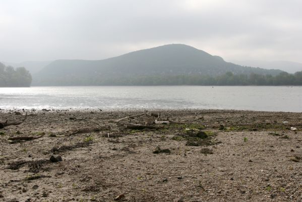 Kamenica nad Hronom, 7.4.2014
Dunaj u Kováčova - pohled na maďarský břeh
Mots-clés: Kamenica nad Hronom Kováčov Dunaj