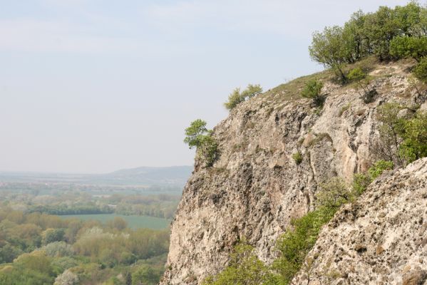 Kamenica nad Hronom, 7.4.2014
Kováčovské kopce. Skaly u Kováčova. 
Klíčová slova: Kamenica nad Hronom Kováčovské kopce Skaly