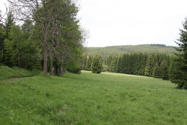 Loučná pod Klínovcem, Háj, 26.5.2012
Luka nad údolím Černé vody. Biotop kovaříka Ctenicera pectinicornis.
Klíčová slova: Krušné hory Loučná pod Klínovcem Háj Ctenicera pectinicornis