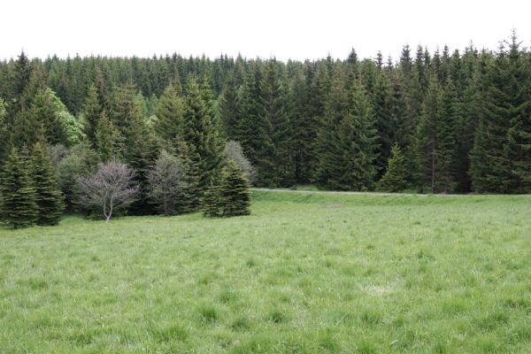 Loučná pod Klínovcem, Háj, 26.5.2012
Luka nad údolím Černé vody. Biotop kovaříka Ctenicera pectinicornis.
Klíčová slova: Krušné hory Loučná pod Klínovcem Háj Ctenicera pectinicornis