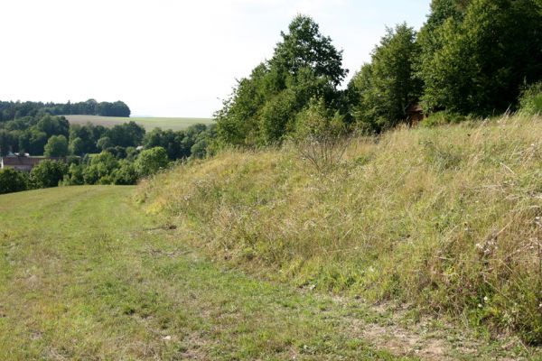 Krabčice, 18.8.2008
Mez se stepní vegetací na jižních svazích nad obcí Krabčice.
Klíčová slova: Krabčice step