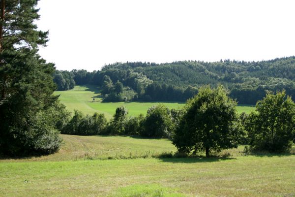 Krabčice, 18.8.2008
Krajina v okolí obce Krabčice. Pohled od mezí k jihu.
Klíčová slova: Krabčice