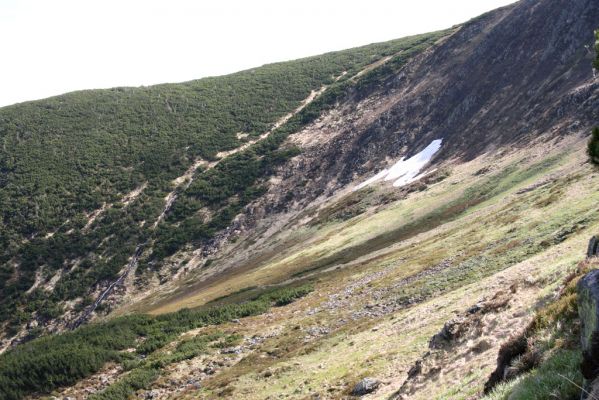 Krkonoše, Obří důl, 21.5.2014
Krakonošova zahrádka.
Klíčová slova: Krkonoše Obří důl Krakonošova zahrádka