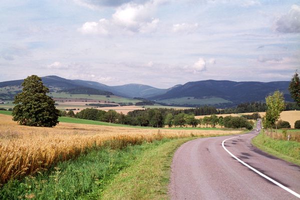 Králický Sněžník, 29.8.2004
Pohled od Králík (vrch Výšina).


Klíčová slova: Králický Sněžník