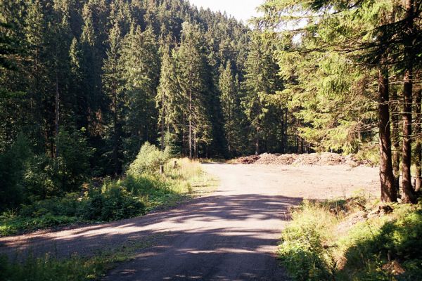 Králický Sněžník, 29.8.2004
Deponie materiálu u Vilemínky.
Klíčová slova: Králický Sněžník Vilemínka