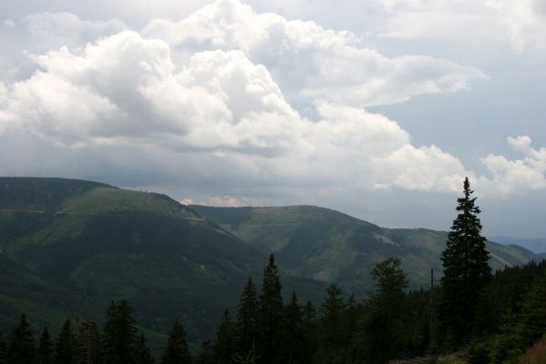 Králický Sněžník, 11.7.2012
Pohled ze západního hřbetu (Malý Sněžník) na východní hřbet (Slamník). 
Klíčová slova: Králický Sněžník Malý Sněžník Slamník