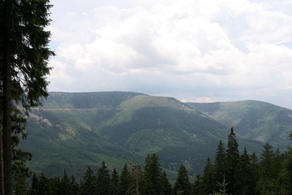 Králický Sněžník, 11.7.2012
Pohled ze západního hřbetu (Malý Sněžník) na východní hřbet (Podbělka a Slamník).
Klíčová slova: Králický Sněžník Malý Sněžník Podbělka Slamník
