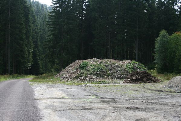 Králický Sněžník, 27.8.2008
Deponie materiálu u chaty Vilemínky (50°11'7.16"N, 16°50'38.14"E). Náhradní biotop kovaříků Ctenicera virens a Orithales serraticornis.
Klíčová slova: Králický Sněžník Vilemínka Ctenicera virens Orithales serraticornis