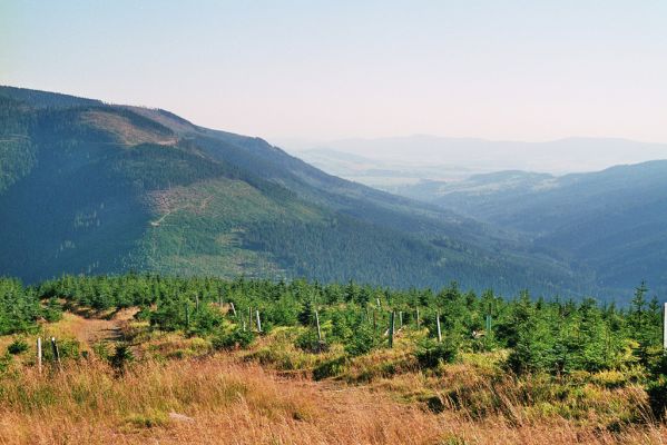 Králický Sněžník, 29.8.2005
Pohled od Sněžné chaty na Uhlisko.
Klíčová slova: Králický Sněžník Uhlisko